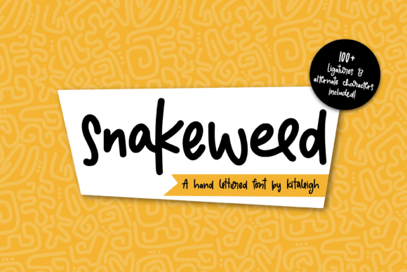 Snakeweed: A Playful Serif Font for Web Design